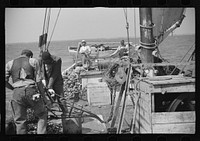 [Untitled photo, possibly related to: Aboard a trap fishing boat. The deck of the boat on the way home. Provincetown, Massachusetts]. Sourced from the Library of Congress.