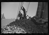 [Untitled photo, possibly related to: Summer residents watch the tourist boat arrive from Boston, Provincetown, Massachusetts]. Sourced from the Library of Congress.