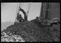 [Untitled photo, possibly related to: Summer residents watch the tourist boat arrive from Boston, Provincetown, Massachusetts]. Sourced from the Library of Congress.