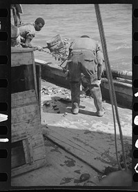 [Untitled photo, possibly related to: Summer residents watch the tourist boat arrive from Boston, Provincetown, Massachusetts]. Sourced from the Library of Congress.