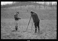 [Untitled photo, possibly related to: Planting trees at Zaleski Forest Project, Vinton County, Ohio]. Sourced from the Library of Congress.