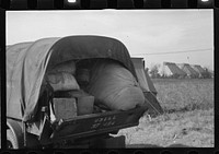 [Untitled photo, possibly related to: Awaiting registration in the camp for  flood refugees at Forrest City, Arkansas]. Sourced from the Library of Congress.