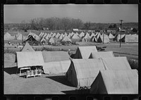 [Untitled photo, possibly related to: A street of tents in the camp for flood refugees of Forrest City, Arkansas]. Sourced from the Library of Congress.