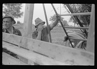 [Untitled photo, possibly related to: Percheron stallion brought to mare for mating, on farm near Pine Grove Mills, Pennsylvania]. Sourced from the Library of Congress.