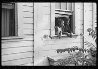 es looking out of their home, Washington, D.C.. Sourced from the Library of Congress.