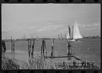 [Untitled photo, possibly related to: Summer residents watch the tourist boat arrive from Boston, Provincetown, Massachusetts]. Sourced from the Library of Congress.