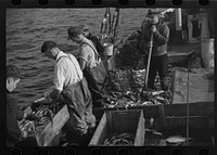 [Untitled photo, possibly related to: Aboard a trawler (locally called a dragger). The power-driven winch lets out the starboard net. While over fishing grounds one of two nets is constantly in the water, dragging along the bottom. Boats are powerful, diesel-engined, between forty and seventy-five feet long. Their unrestricted use has done much to cause the "fish-famine" along this coast because nets bring up everything, fish, minnows and even spawn. Provincetown, Massachusetts]. Sourced from the Library of Congress.