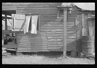 Colored trapper's home, Louisiana. Sourced from the Library of Congress.