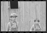 [Untitled photo, possibly related to: Sam Nichols, tenant farmer, Boone County, Arkansas]. Sourced from the Library of Congress.
