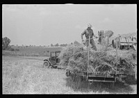 [Untitled photo, possibly related to: Hauling wheat to thresher, central Ohio]. Sourced from the Library of Congress.