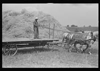 [Untitled photo, possibly related to: Loading bundles of wheat for hauling to thresher, central Ohio]. Sourced from the Library of Congress.