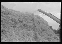 Wheat straw being piled by cyclone stacker, central Ohio (see general caption). Sourced from the Library of Congress.
