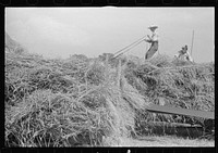 [Untitled photo, possibly related to: Threshing wheat in central Ohio]. Sourced from the Library of Congress.