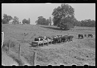 [Untitled photo, possibly related to: Rack for feeding cattle in central Ohio (see general caption)]. Sourced from the Library of Congress.