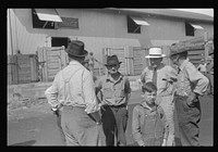 [Untitled photo, possibly related to: Boys by gate, Pickaway Livestock Cooperative Association, central Ohio]. Sourced from the Library of Congress.