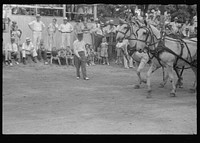 [Untitled photo, possibly related to: Livestock display, county fair, central Ohio]. Sourced from the Library of Congress.
