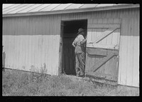Sizing up hay in hayloft, public auction, central Ohio. Sourced from the Library of Congress.