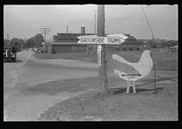 Signs, Route 40, central Ohio. Sourced from the Library of Congress.