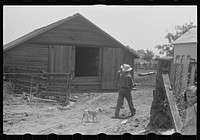[Untitled photo, possibly related to: Farmers walking toward house for dinner. Wheat harvest time in central Ohio]. Sourced from the Library of Congress.