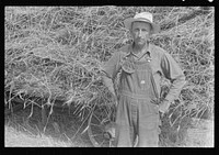 Mr. Virgil Thaxton, Ohio farmer, near Mechanicsburg, Ohio. Sourced from the Library of Congress.