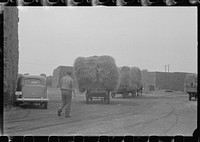 [Untitled photo, possibly related to: Horses on farm during wheat harvest, central Ohio]. Sourced from the Library of Congress.