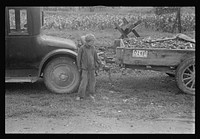 Son of ex-farmer now on W.P.A. (Work Projects Administration), central Ohio. Sourced from the Library of Congress.