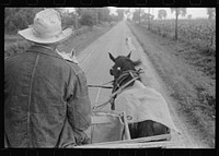 [Untitled photo, possibly related to: Farmer hauling wheat to elevator, central Ohio]. Sourced from the Library of Congress.