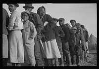 [Untitled photo, possibly related to: es in the lineup for food at the flood refugee camp, Forrest City, Arkansas]. Sourced from the Library of Congress.