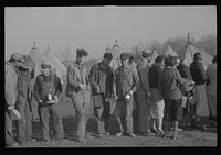 [Untitled photo, possibly related to: es in the lineup for food at the flood refugee camp, Forrest City, Arkansas]. Sourced from the Library of Congress.