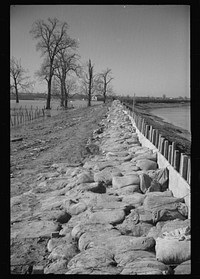 [Untitled photo, possibly related to: The Bessie Levee augmented with sand bags during the 1937 flood. Near Tiptonville, Tennessee]. Sourced from the Library of Congress.