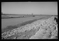 [Untitled photo, possibly related to: The Bessis Levee, along a subsidiary of the Mississippi River, near Tiptonville, Tennessee. The levee has been augmented with sand bags during the 1937 flood]. Sourced from the Library of Congress.