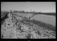 The Bessis Levee, along a subsidiary of the Mississippi River, near Tiptonville, Tennessee. The levee has been augmented with sand bags during the 1937 flood. Sourced from the Library of Congress.