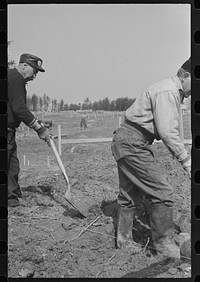 [Untitled photo, possibly related to: Carpenter at the Greenbelt Project, Berwyn, Maryland]. Sourced from the Library of Congress.