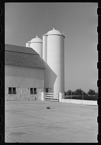 [Untitled photo, possibly related to: Dairy farm, Fond du Lac County, Wisconsin]. Sourced from the Library of Congress.