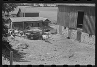 [Untitled photo, possibly related to: Barnyard, Dodge County, Wisconsin]. Sourced from the Library of Congress.