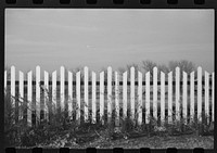 Fence on large farm in Red River Valley. Cass County, North Dakota. Sourced from the Library of Congress.