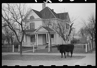 [Untitled photo, possibly related to: Starkweather, North Dakota]. Sourced from the Library of Congress.