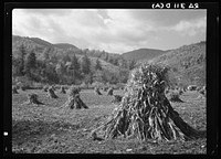 A fertile plateau in the Blue Ridge Mountains. Shenandoah National Park, Virginia. Sourced from the Library of Congress.