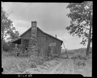 Sharecropper's cabin. Washington County, Arkansas. Sourced from the Library of Congress.