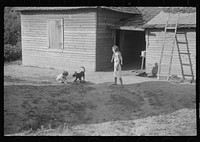 [Untitled photo, possibly related to: Burroughs children playing in the yard, Hale County, Alabama]. Sourced from the Library of Congress.