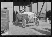 [Untitled photo, possibly related to: At the cotton gin. Cotton gin and wagons. Hale County, Alabama]. Sourced from the Library of Congress.