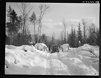 Winter logging operations. Coos County, New Hampshire. Sourced from the Library of Congress.
