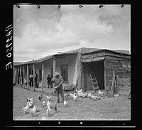 Home of rehabilitation client. Arroyo Seco, New Mexico. Sourced from the Library of Congress.