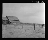 Drifting soil in a farmyard. Hartley County, Texas. Sourced from the Library of Congress.