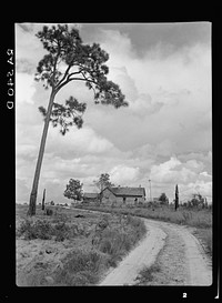 Home of tenant farmer who has not yet been moved into a new house. Irwinville Farms, Georgia. Sourced from the Library of Congress.