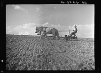 Planting corn. Lancaster County, Nebraska. Sourced from the Library of Congress.