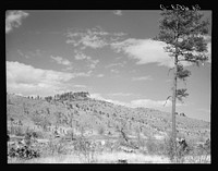 Cut-over land to be reforested in Resettlement Administration purchase area. Custer State Park, South Dakota. Sourced from the Library of Congress.
