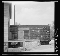 A cooperative poultry shipment. Kearney, Nebraska. Loup City Farmsteads. Sourced from the Library of Congress.