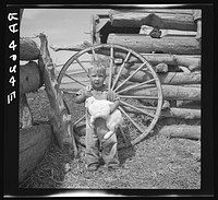 Son of sheep rancher. Oneida County, Idaho. Sourced from the Library of Congress.