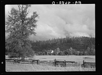 An Oregon dairy farm in the McKenzie River Valley, Oregon. Sourced from the Library of Congress.